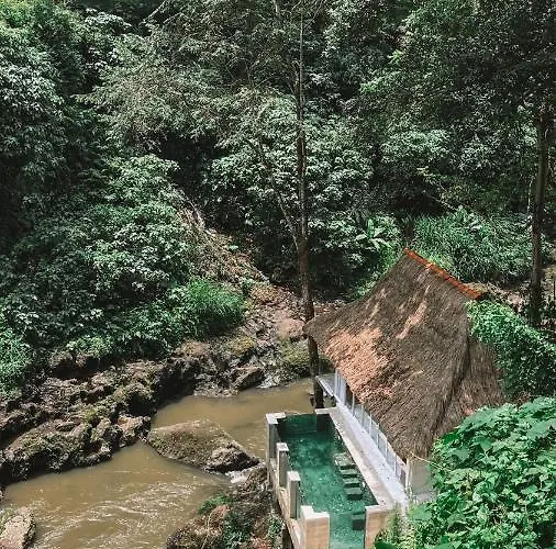 Cella Bella 5*